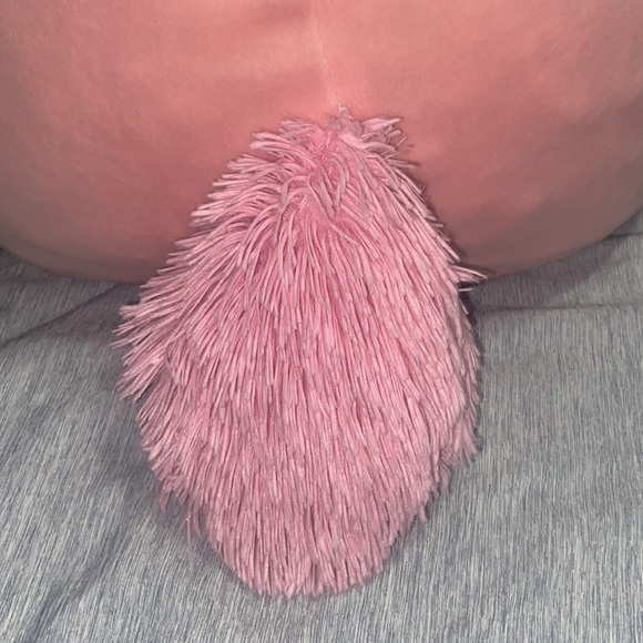 16” Squishmallow - Pink Squirrel named “Sarah.” - Picture 6 of 10